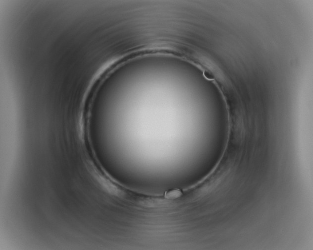X0000113751076200909301027