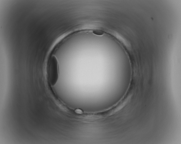 X0000113751077200909301027