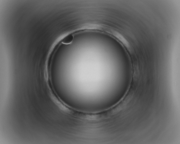 X0000113751080200909301027