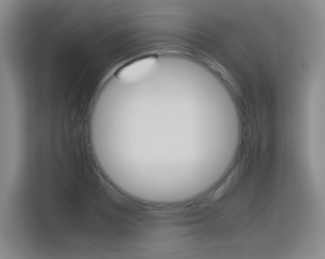 X0000113751081200909301027
