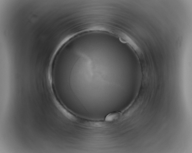 X0000113751084200909301027