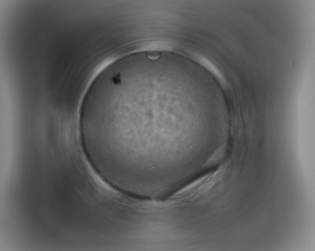 X0000113751087200909301027
