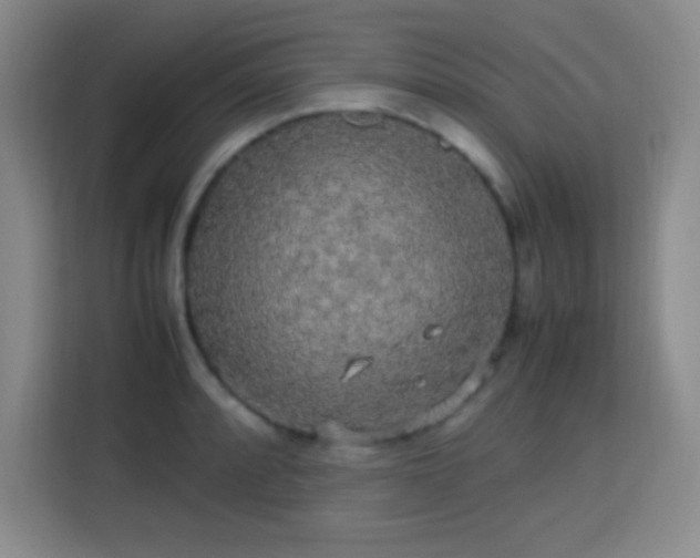 X0000113751088200909301027