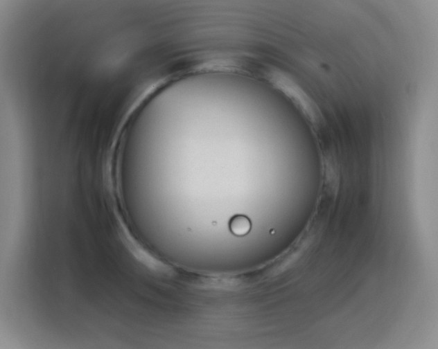 X0000113751090200909301027