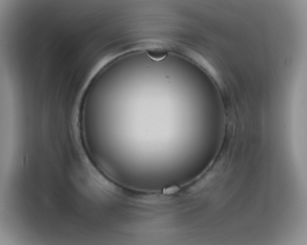 X0000113751091200909301027