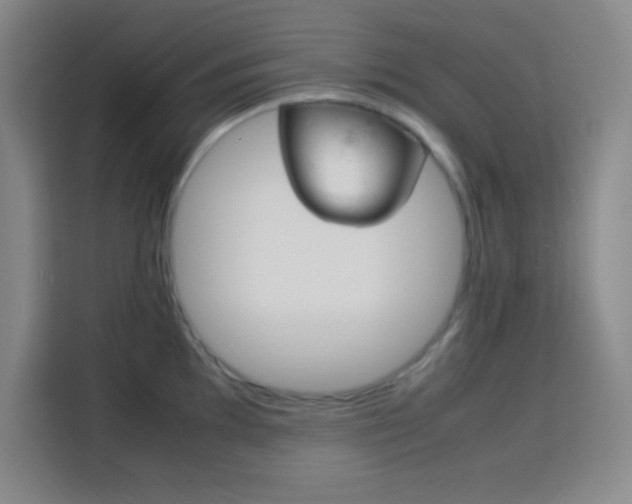 X0000113751097200909301027