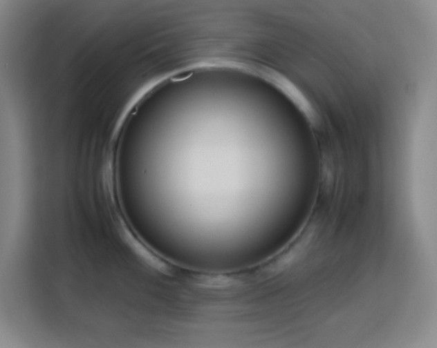 X0000113751100200909301027