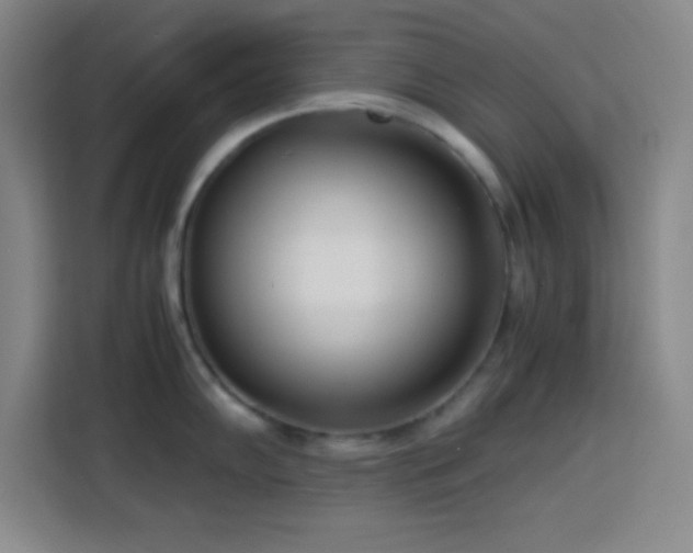 X0000113751102200909301027