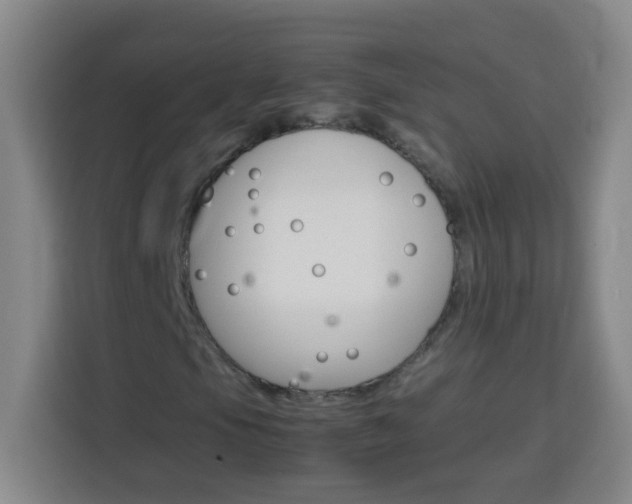 X0000113751105200909301026