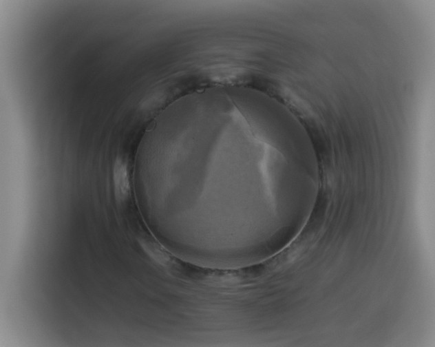 X0000113751106200909301026