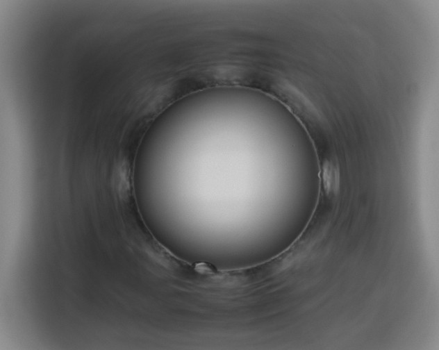 X0000113751107200909301026