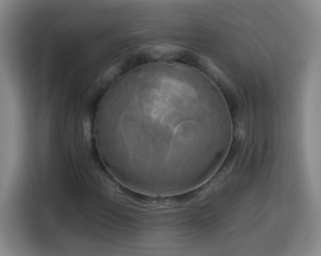 X0000113751108200909301026