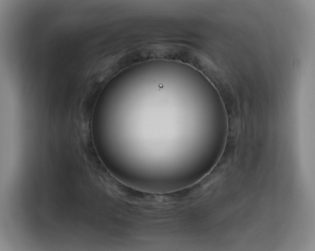X0000113751109200909301026