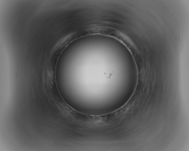 X0000113751111200909301026