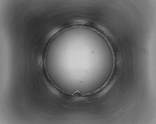 X0000113751113200909301026