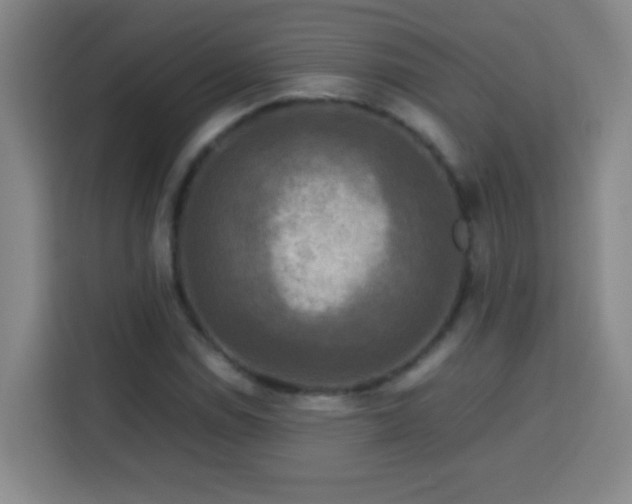 X0000113751114200909301026
