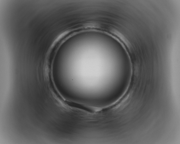 X0000113751115200909301026