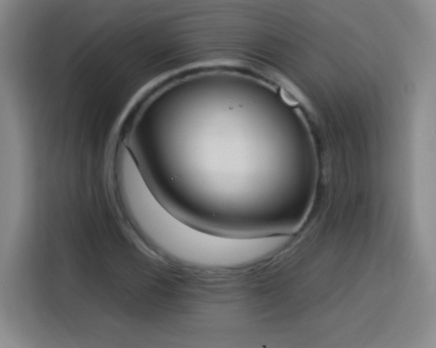X0000113751116200909301026