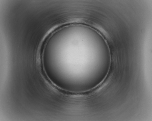 X0000113751118200909301026