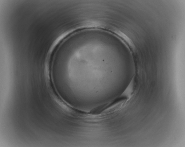 X0000113751120200909301026