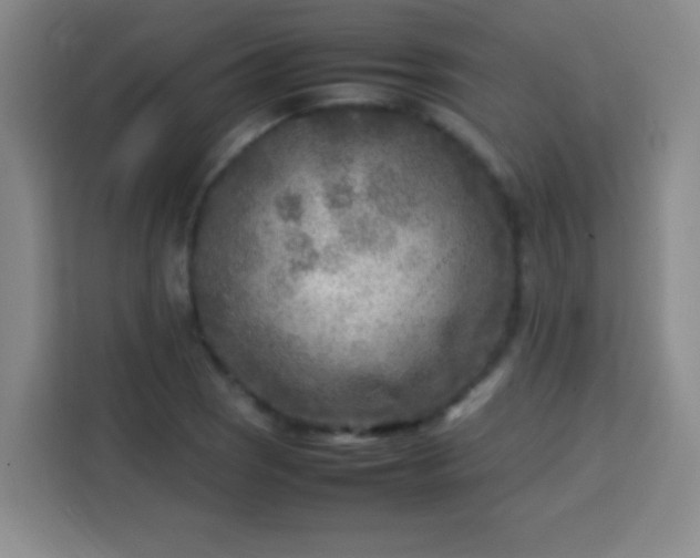 X0000113751121200909301026