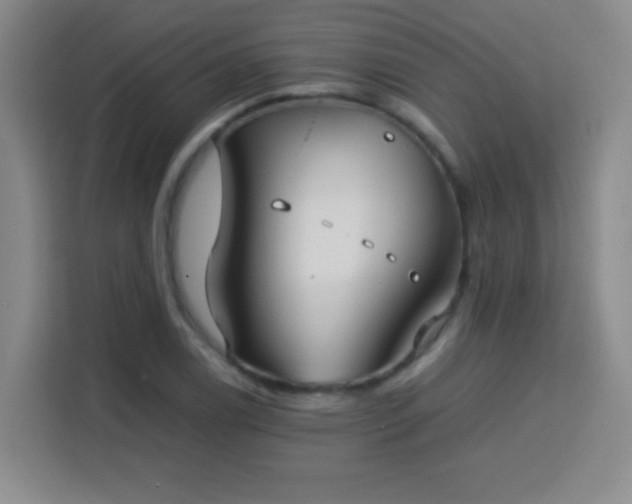 X0000113751122200909301026