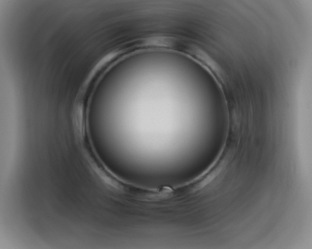 X0000113751123200909301026