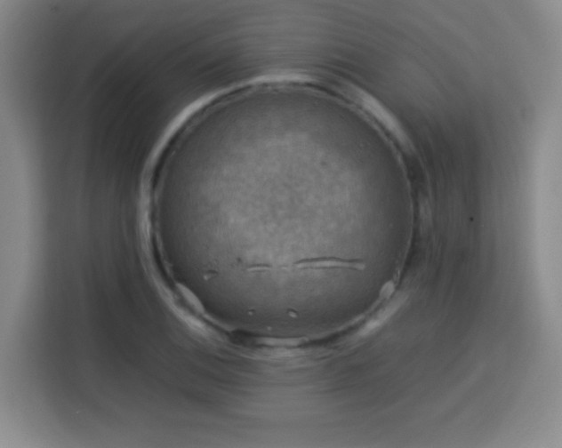 X0000113751124200909301026