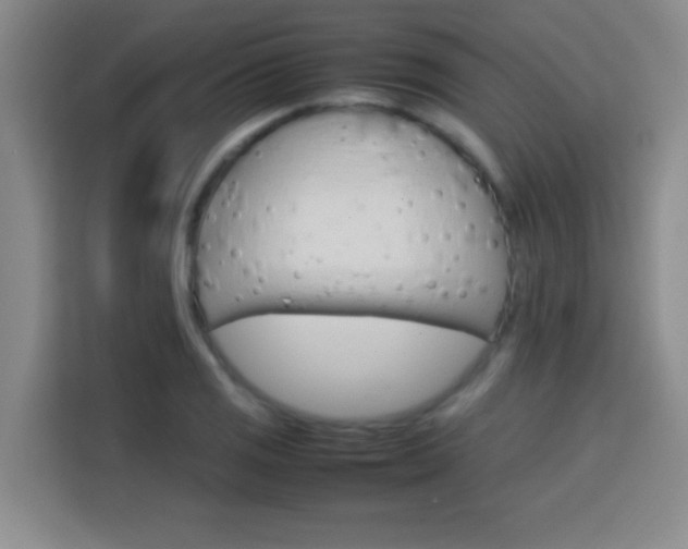 X0000113751125200909301026
