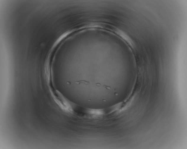 X0000113751127200909301026