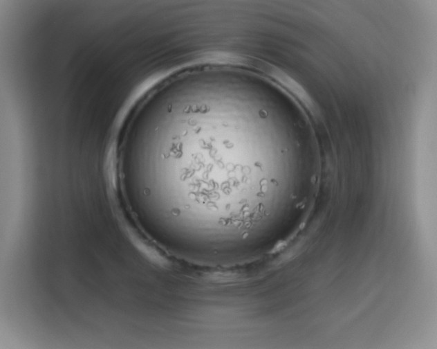 X0000113751128200909301026