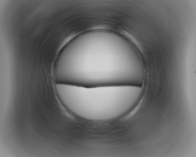 X0000113751129200909301026