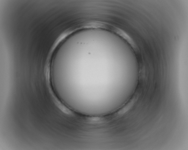 X0000113751130200909301026