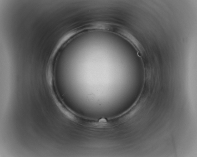 X0000113751131200909301026