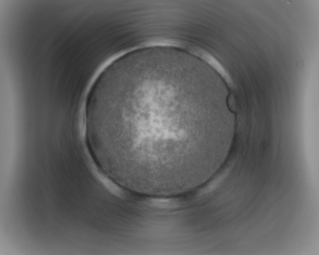 X0000113751132200909301026