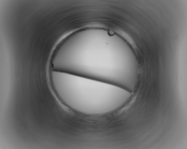 X0000113751133200909301026
