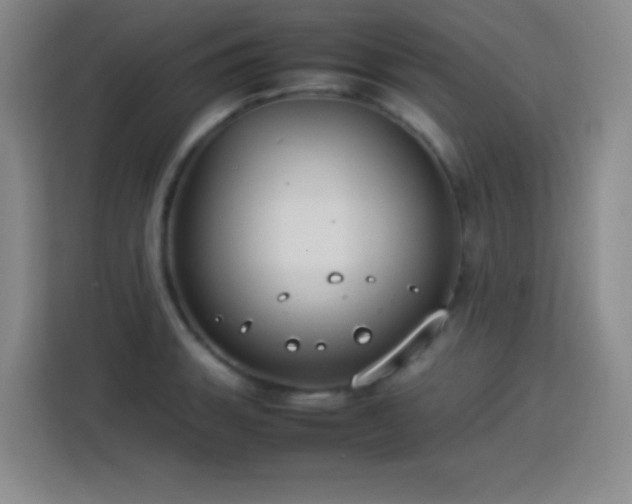 X0000113751135200909301026