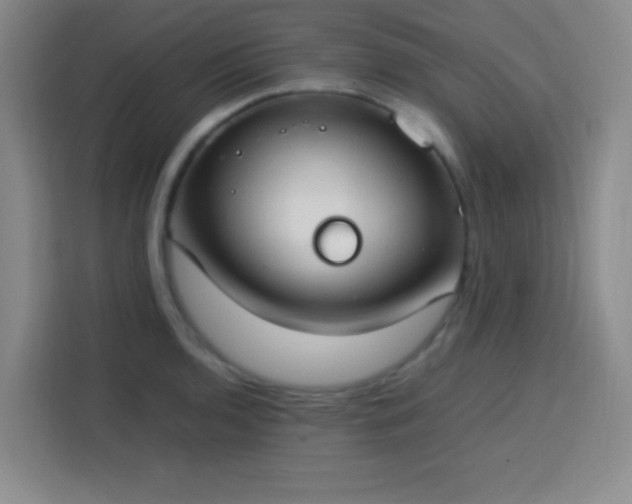 X0000113751136200909301026