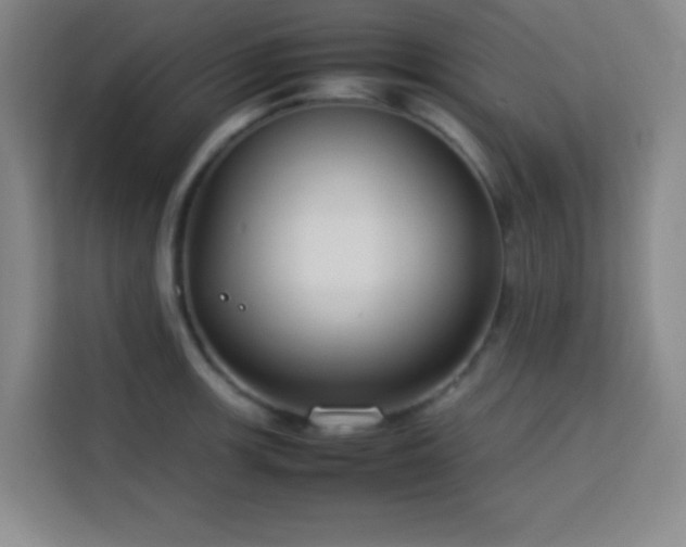 X0000113751139200909301026