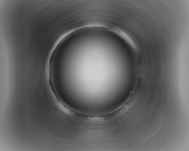 X0000113751140200909301026
