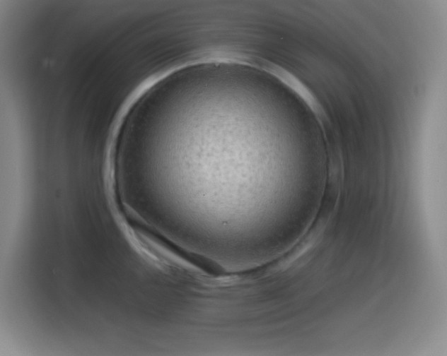 X0000113751144200909301026