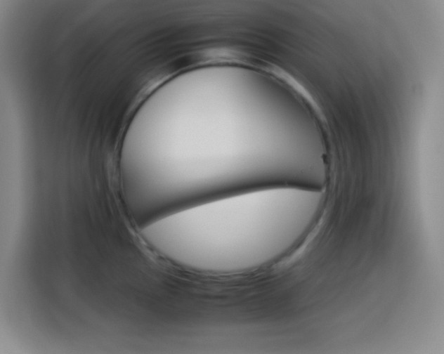 X0000113751145200909301026
