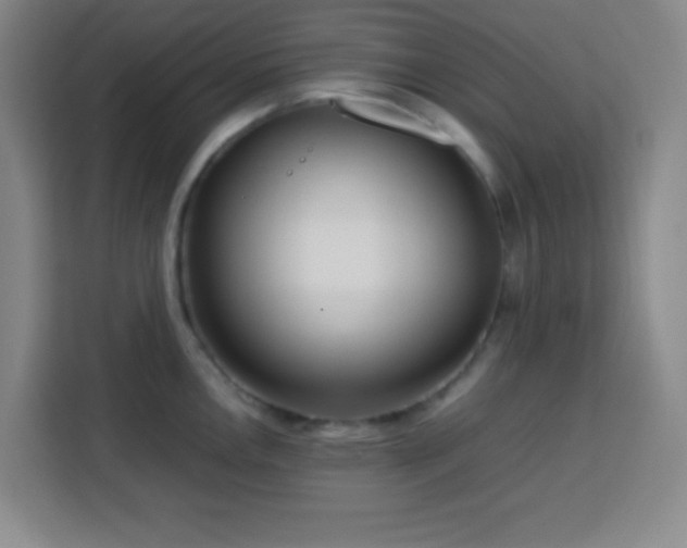X0000113751146200909301026