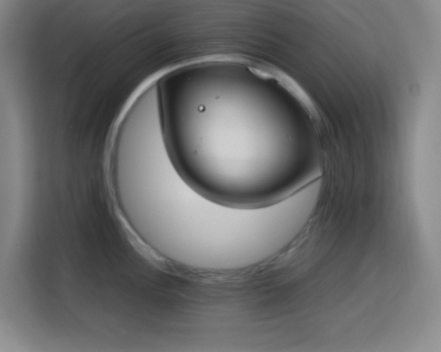 X0000113751148200909301026