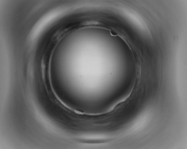 X0000113751151200909301027