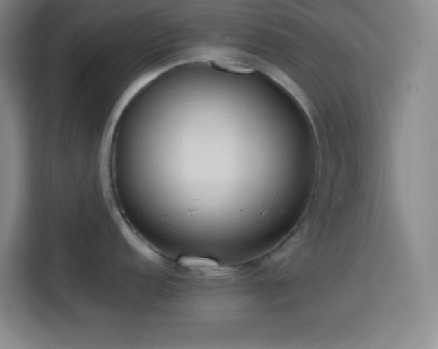 X0000113751152200909301027