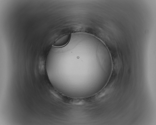 X0000113751154200909301026
