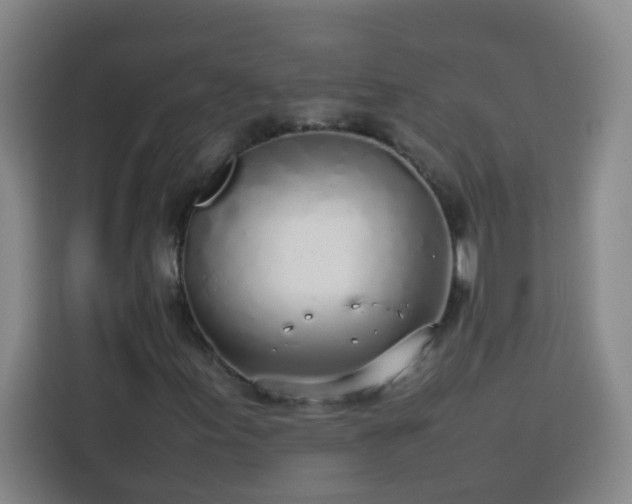 X0000113751155200909301026
