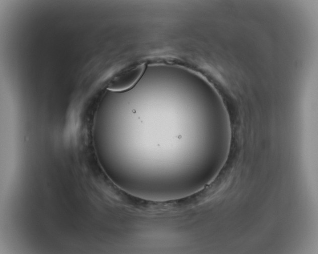 X0000113751159200909301026