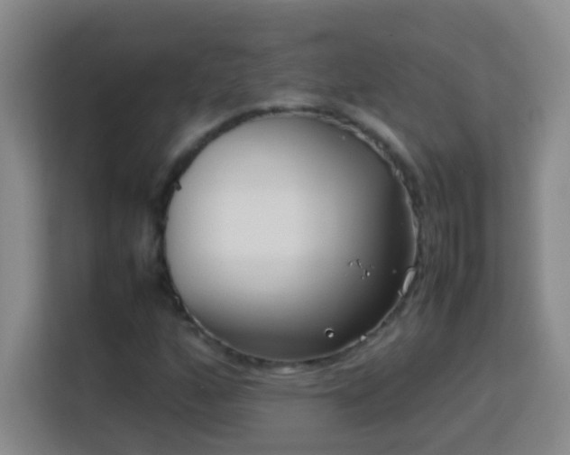 X0000113751160200909301026